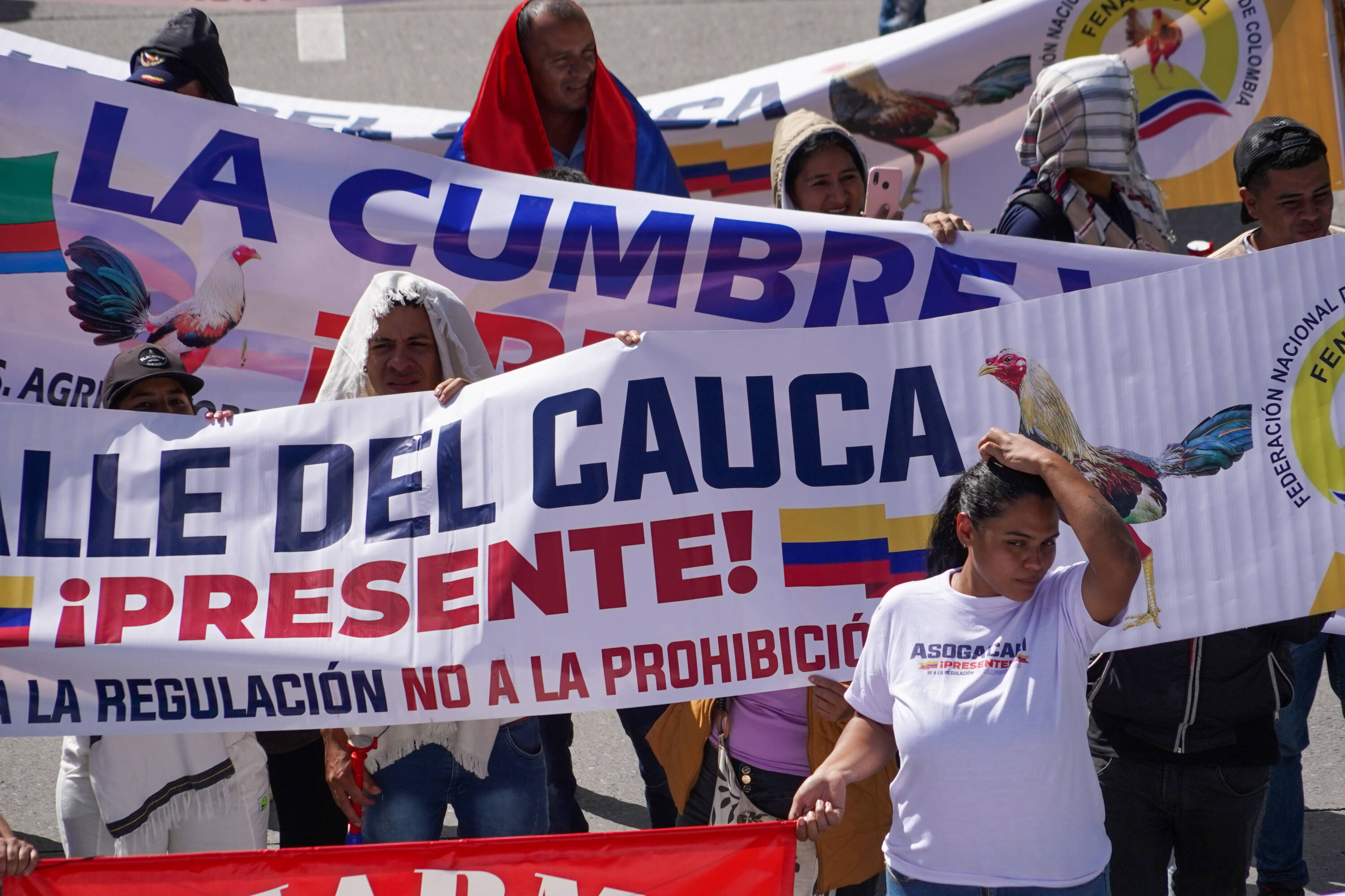Cientos de Personas Protestan Hoy 10 de Octubre del 2022 EN CONTRA DE LA PROHIBICIÓN DE PELAS DE GALLOS EN EL PAÍS. Medida que está Sido Impulsada en El Congreso. Foto Mauricio Moreno El Tiómpo Ceet