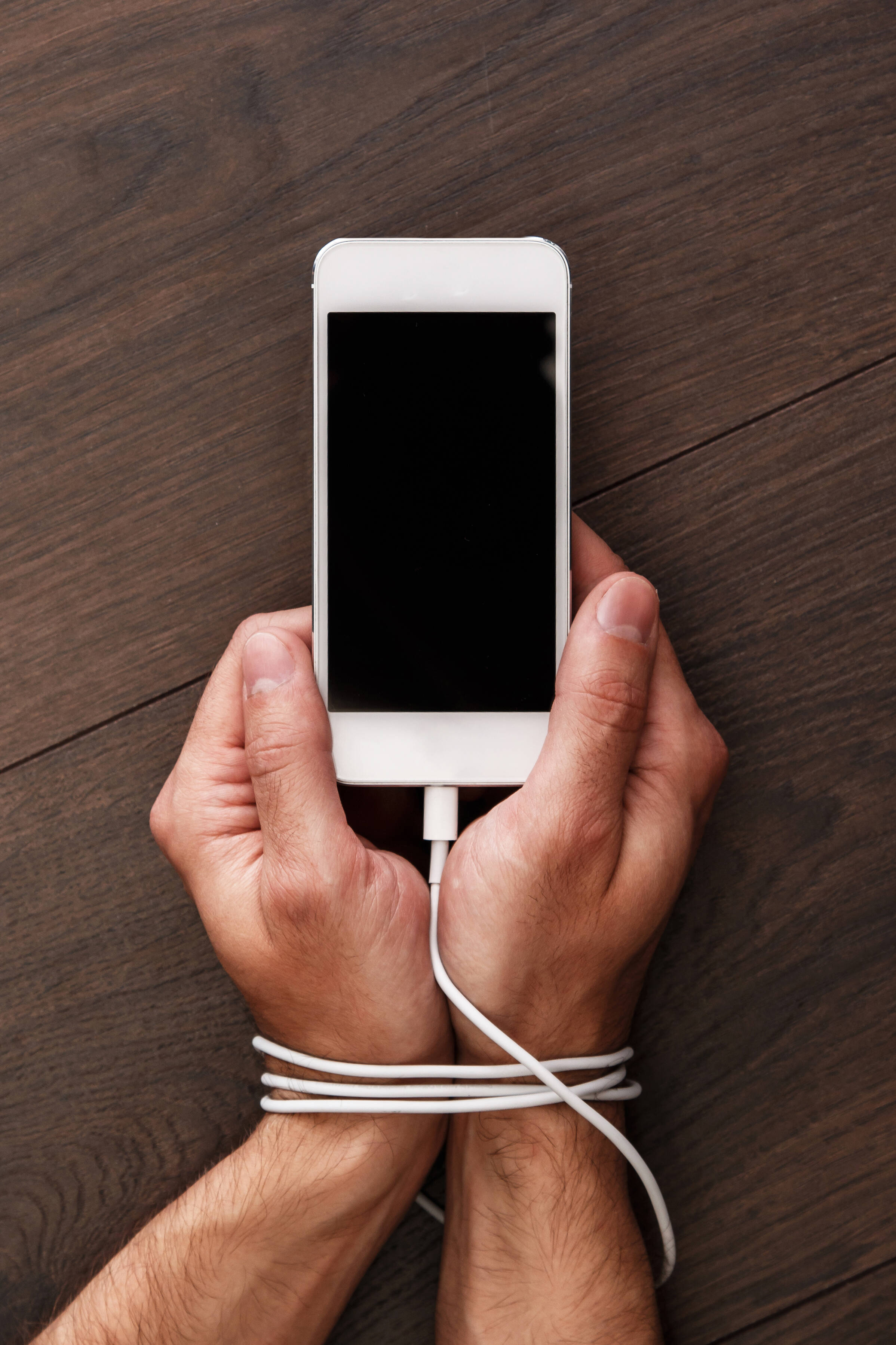 Celular AMP