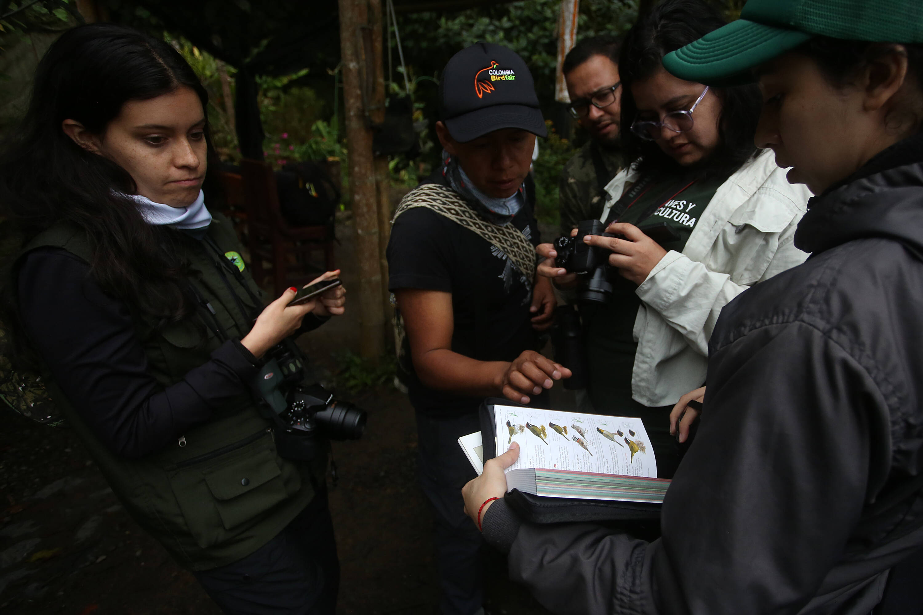 La capital del Valle del Cauca es una de las ciudades más llamativas del mundo para realizar avistamiento de aves por su variedad de climas y especies, razón por la que la Colombia Birdfair toma tanta fuerza en esta región para nacionales y extranjeros. En el kilómetro 18 se encuentra un bosque de niebla en el que los pajareros llegan con sus cámaras fotográficas, binoculares, libros y agendas, para observar e identificar las aves que llegan hasta las fincas La Florida y Alejandría. 
