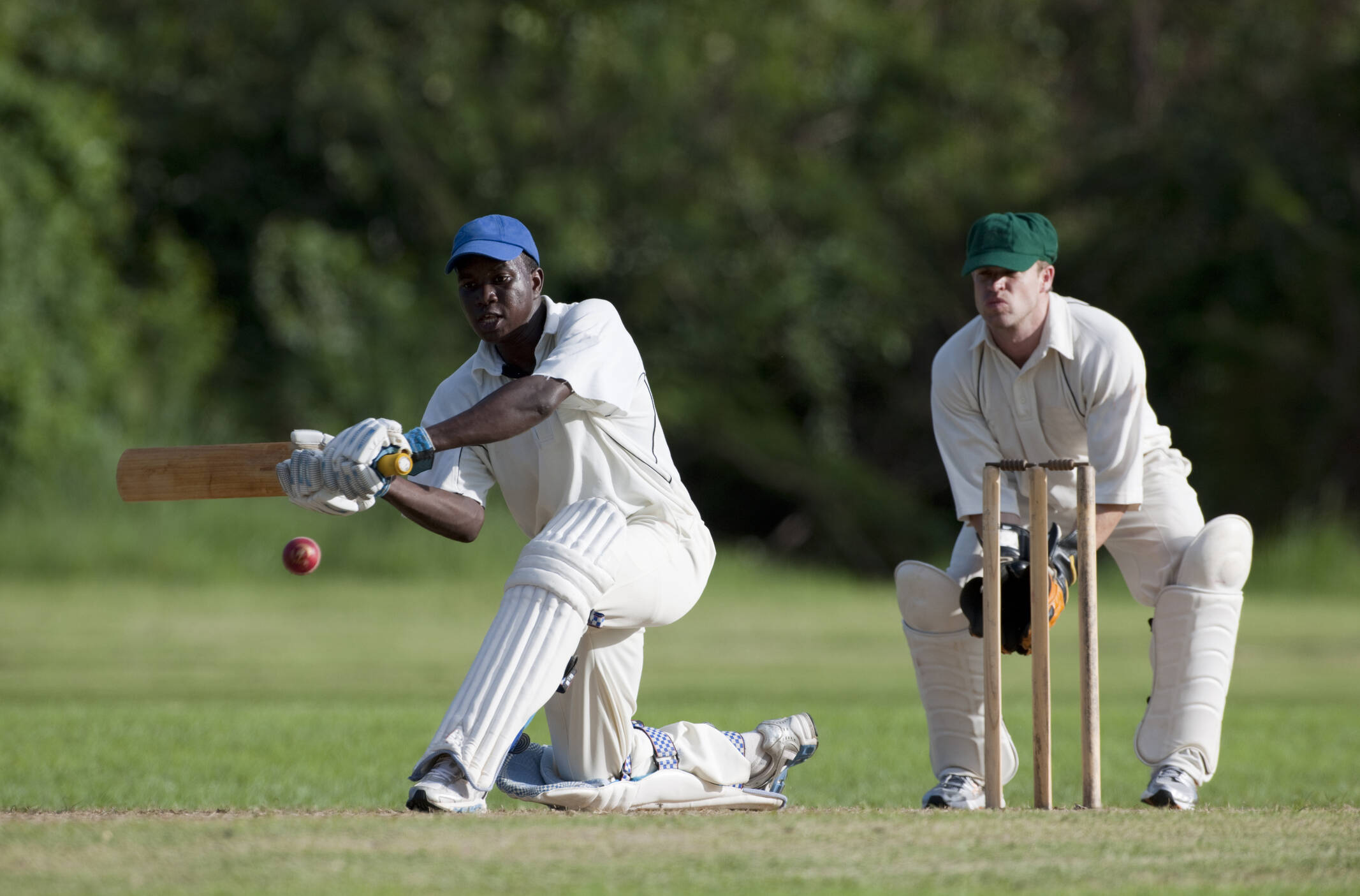 cricket-d-nde-se-pueden-ver-los-partidos-en-vivo-y-los-resultados