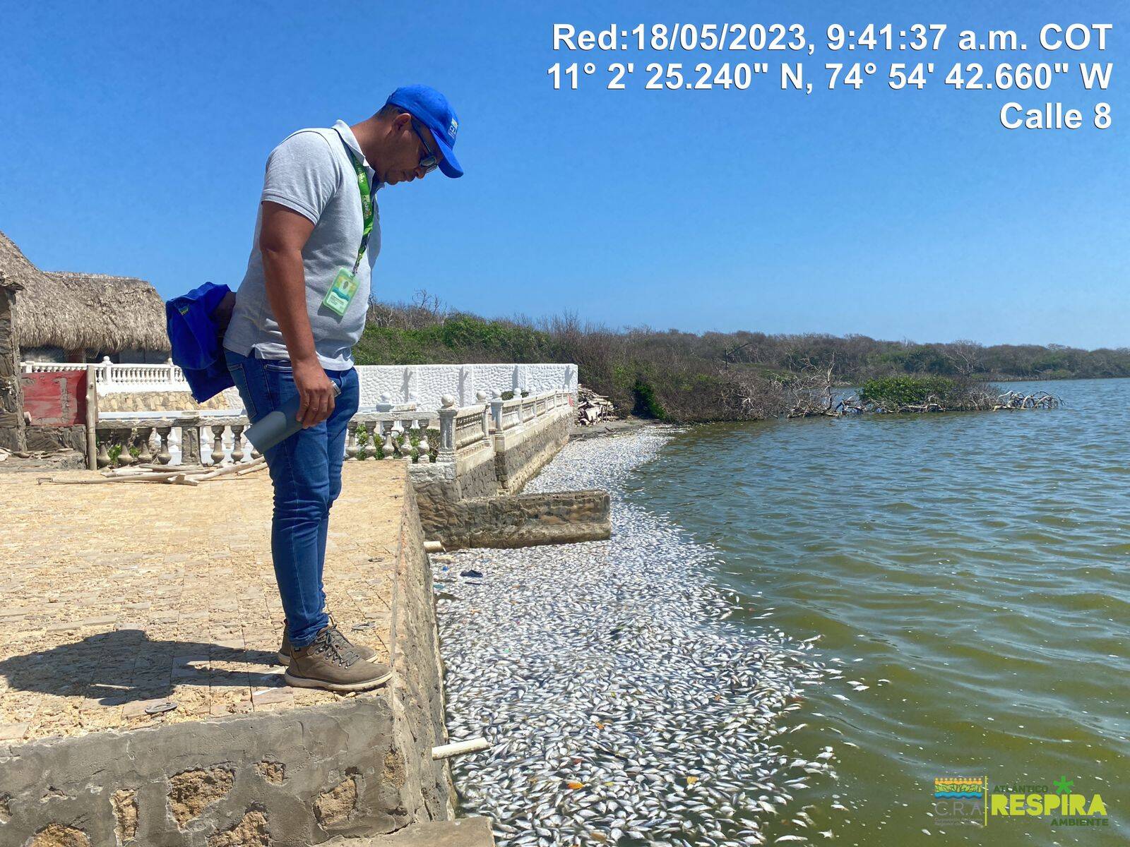 La mortandad de peces se registró en la ciénaga Los Manatíes.