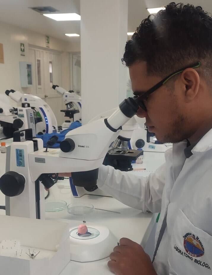 El estudio se centra en las moscas necrófagas del Caribe colombiano.