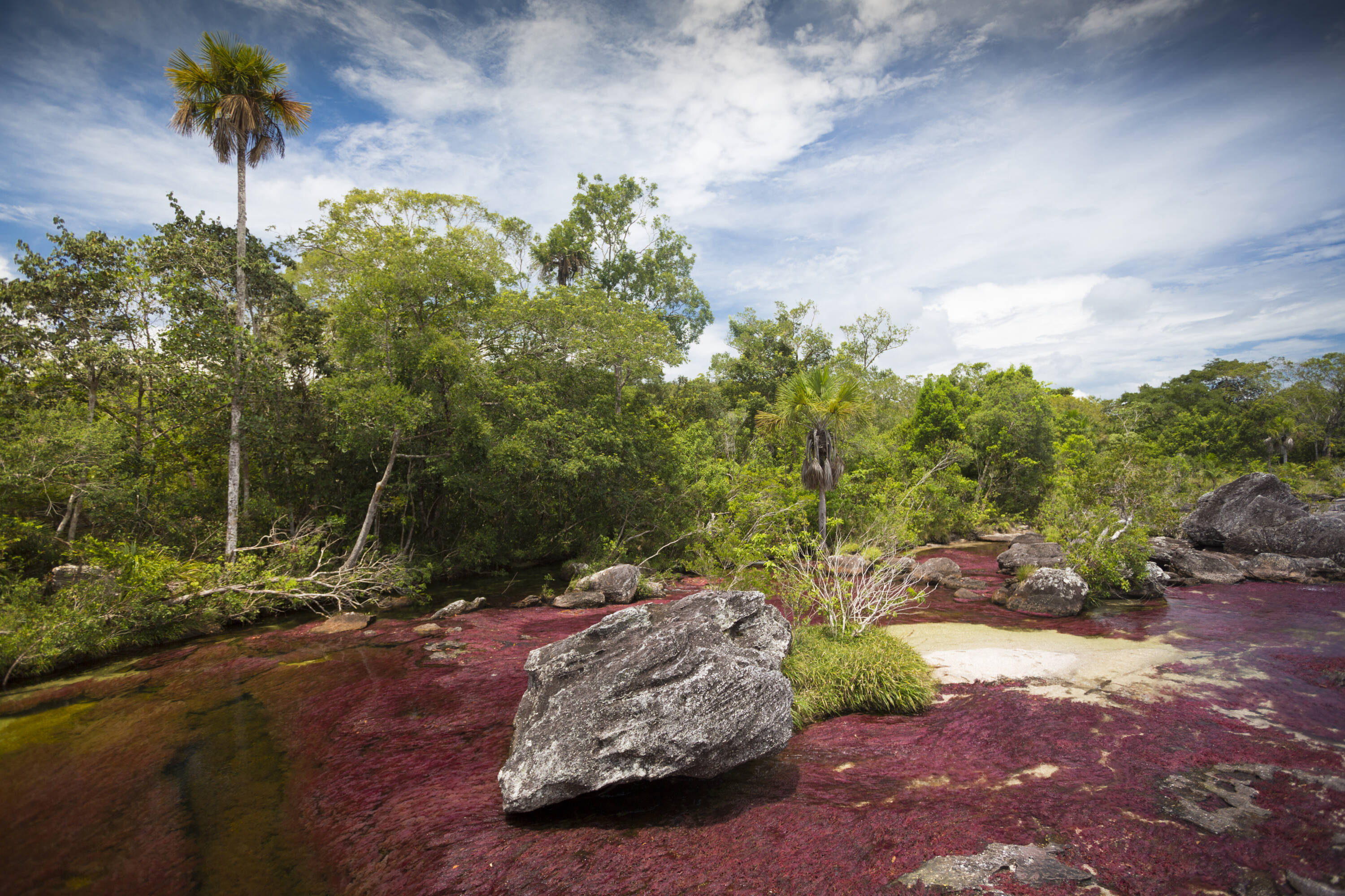 Para Acceder al Parque Nacional Nacional Sierra de la Macarena se Debe Pagar una suma aparoximada de 100.000 pesos.