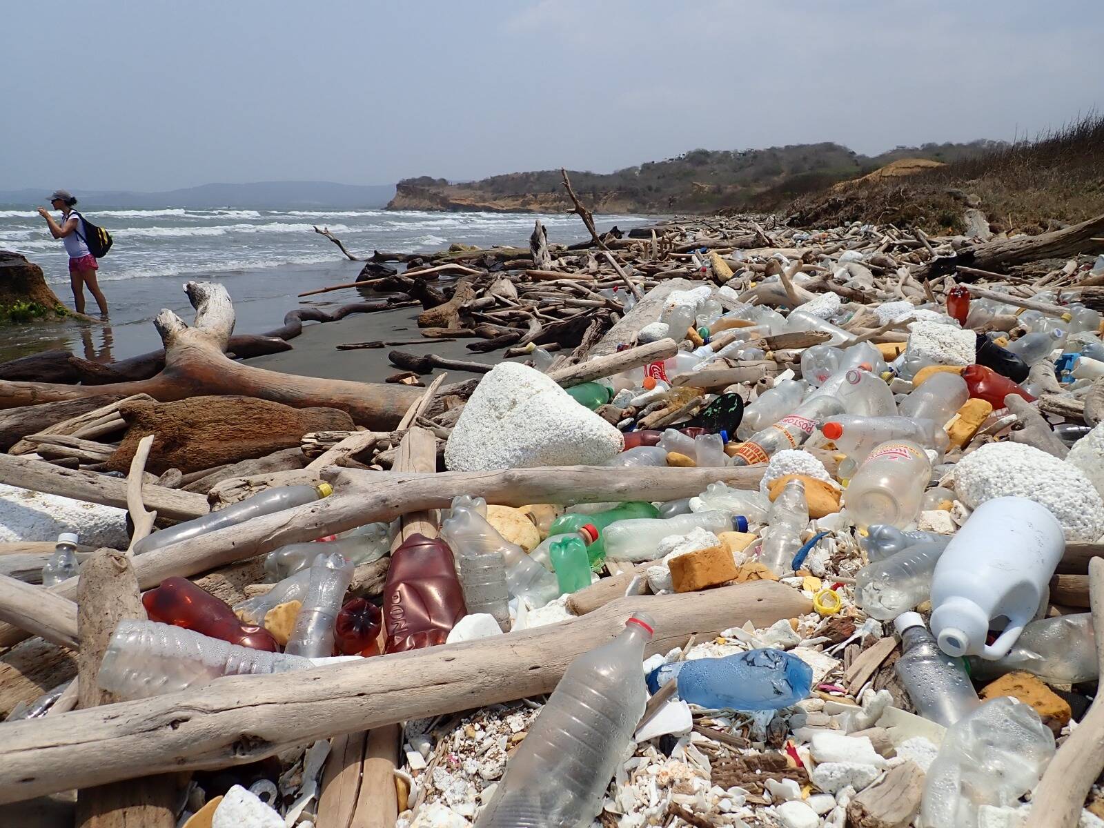 Sector Palmarito -  Santa Verónica, Atlántico con restos de madera varada y plásticos en una playa erosionada.