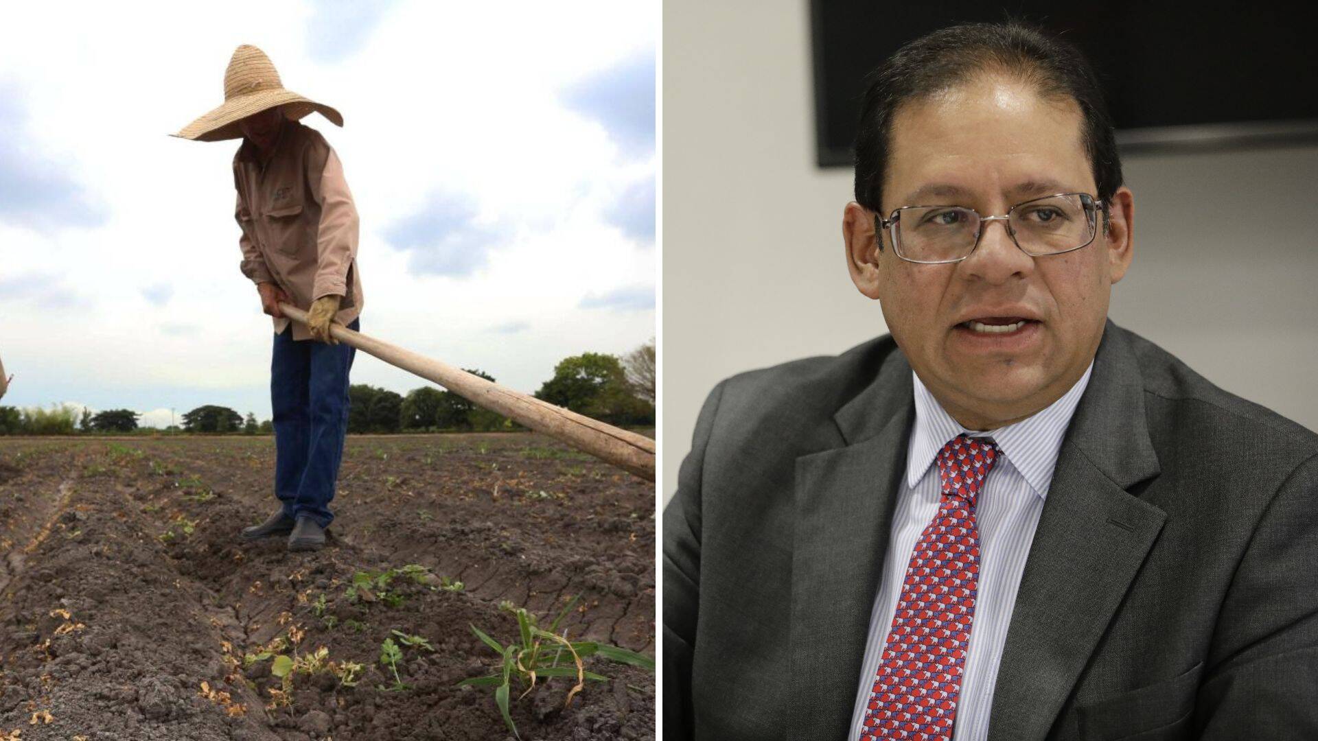 La actualización catastral pasaría del 9 al 70 por ciento de aquí al 2026.