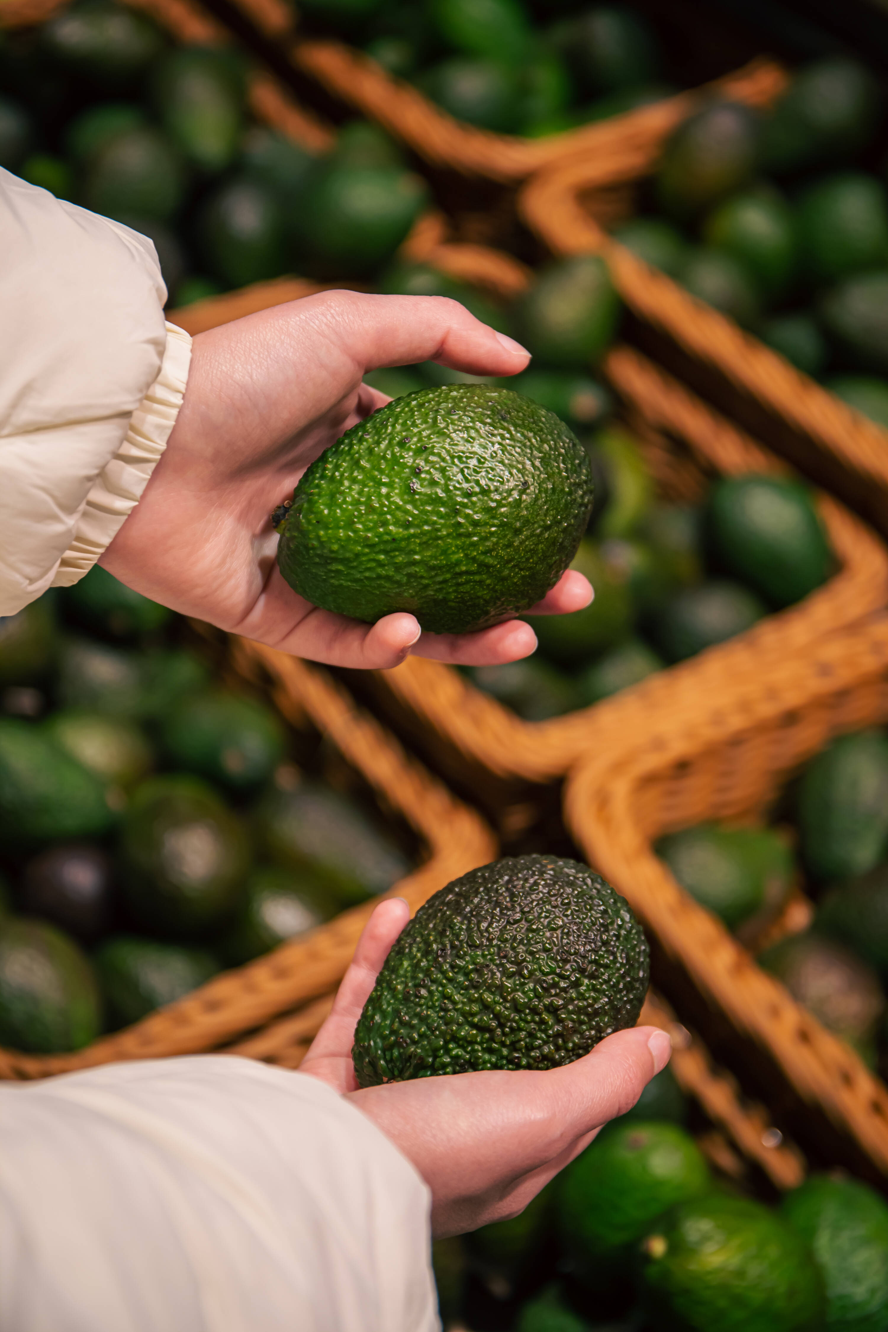Aguacate Hass es considerada la cuarta agroindustria dentro de las más importantes para el país.