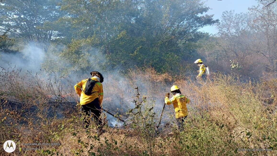 Unidades del Cuerpo de Bomberos de Santa Marta en emergencia por incendio de cobertura vegetal al lado de la Zona Franca Tayrona.