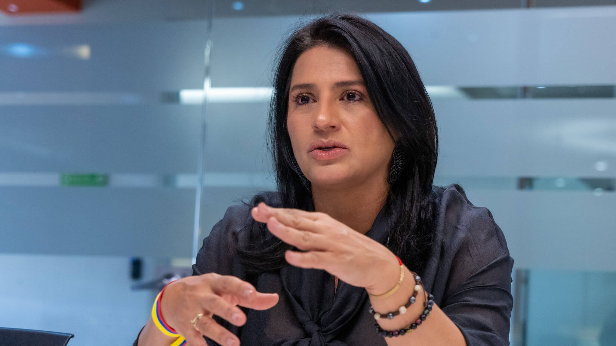 Paola Holguín, senator of the Democratic Center.