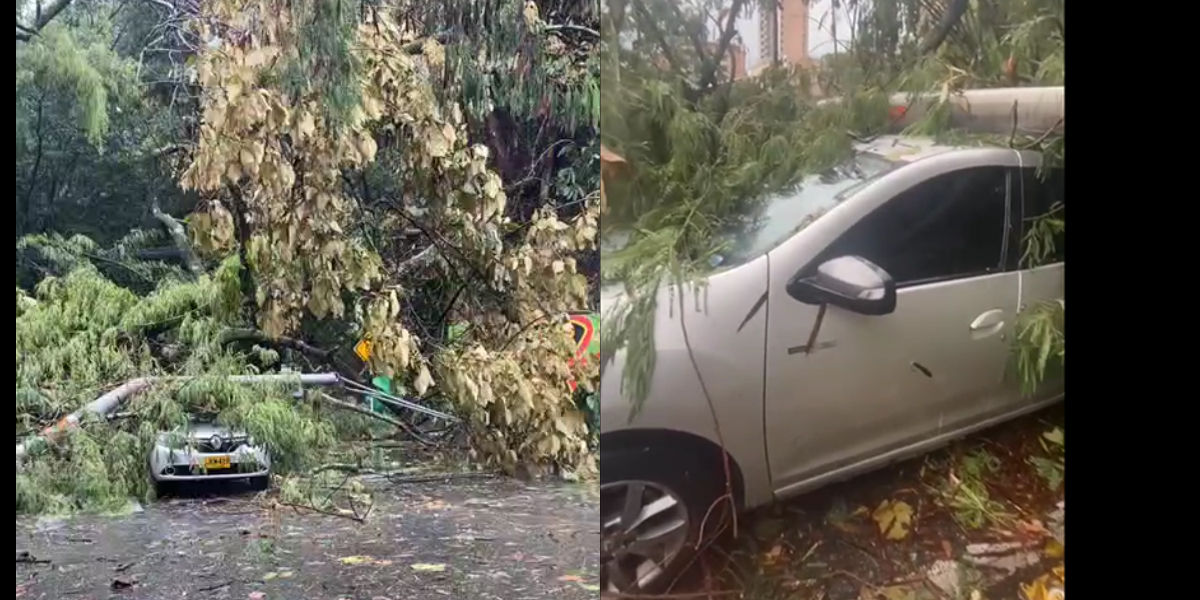 Afectaciones por lluvias