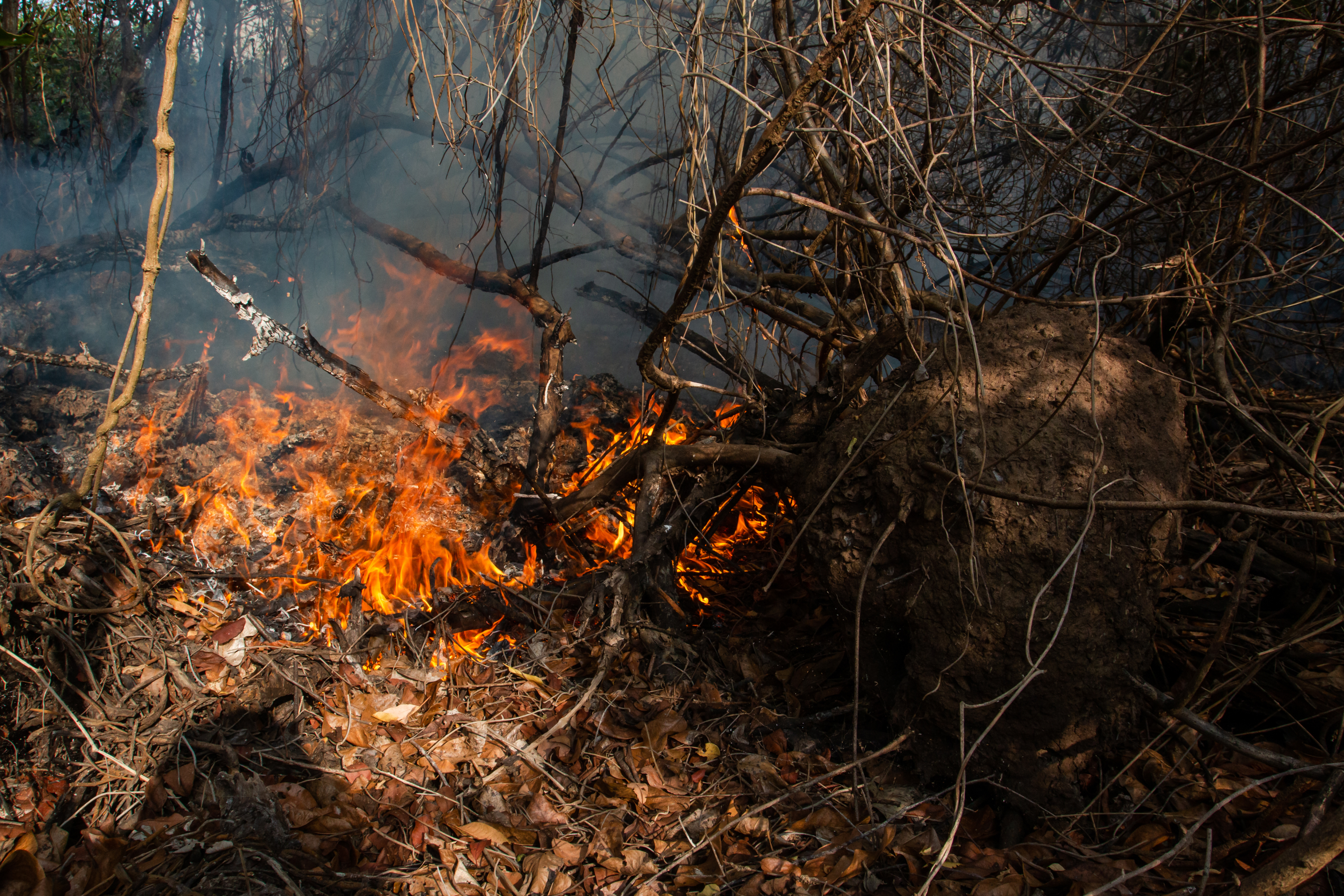 El incendio tiene algunos focos activos.