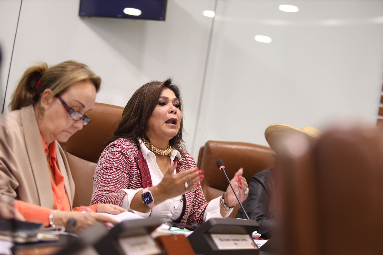 Representative Elizabeth Jay-Pang.