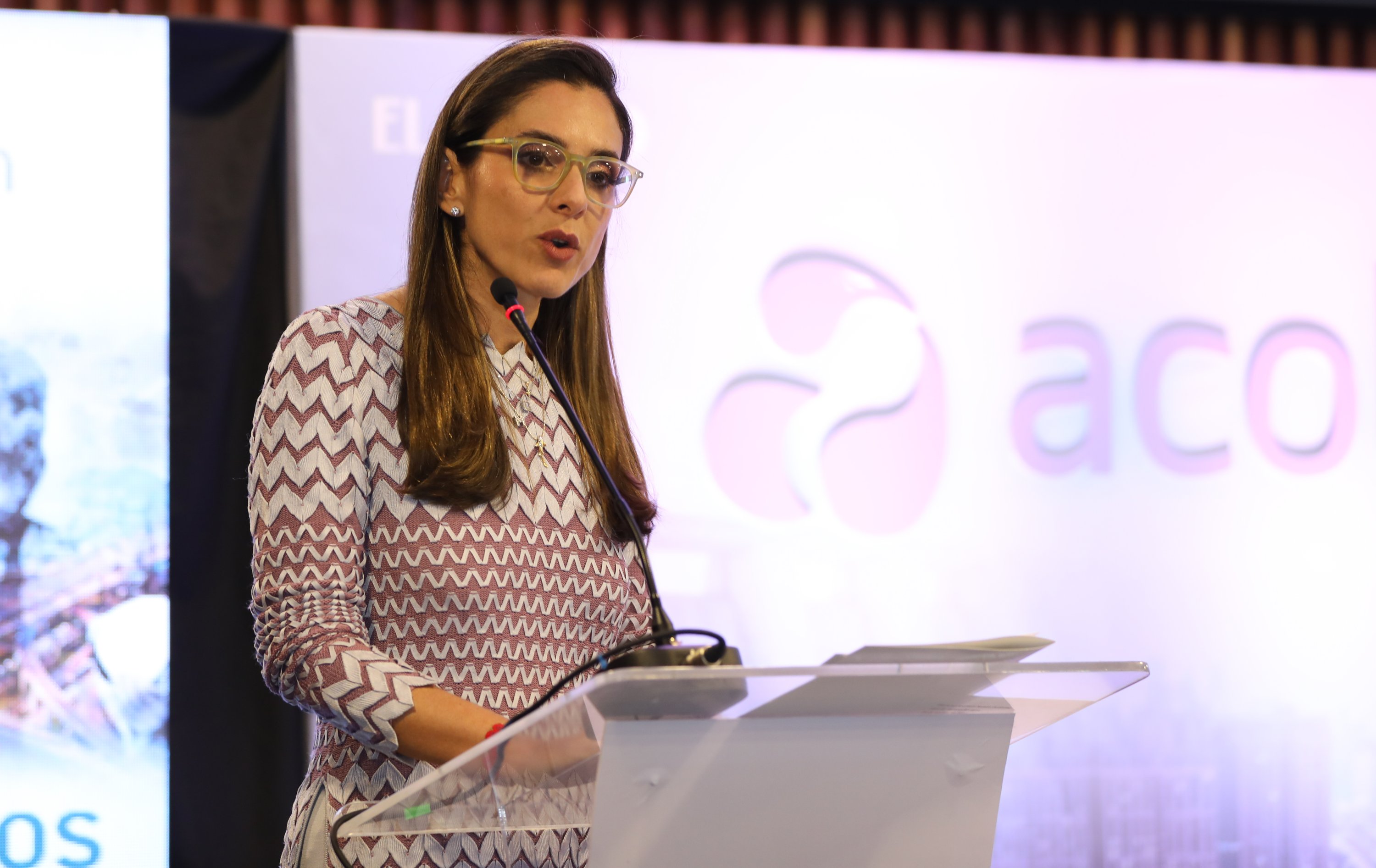 Foro ¿cómo garantizar la energía en el país ? que contó con la participación de Natalia Gutiérrez ,directora de Acolgén.