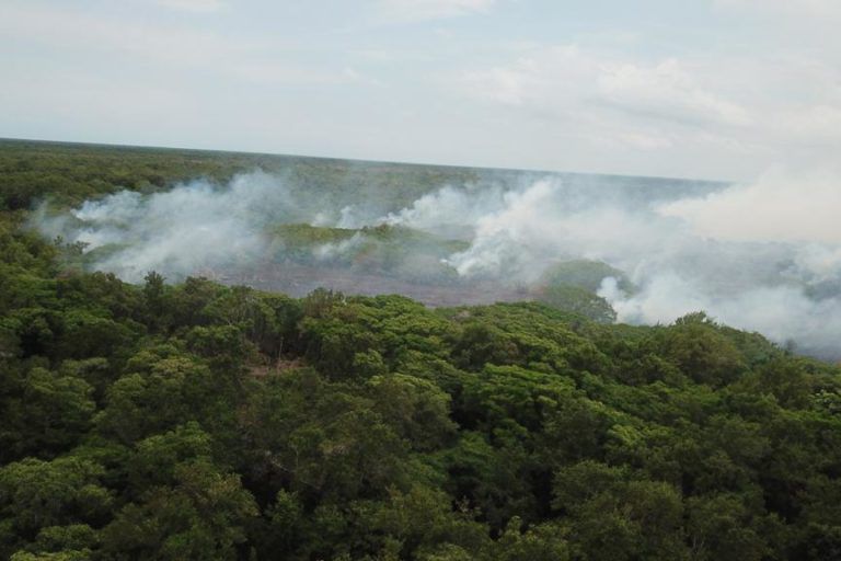 Desde el 2013 a la fecha se ha presente más de 100 incendios en esta reserva natural.