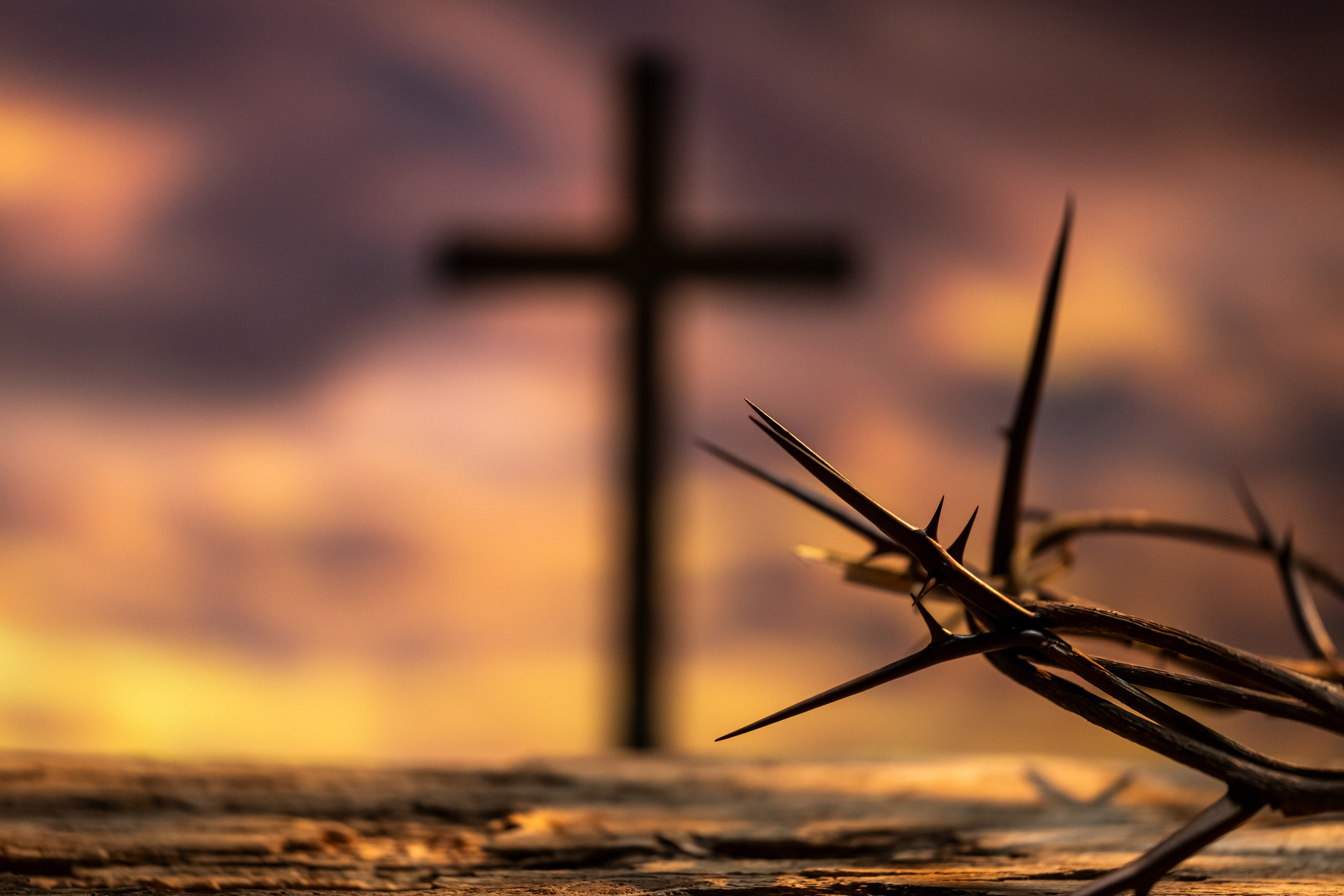 Oración a la Sangre de Cristo para pedir protección y solución a los ...