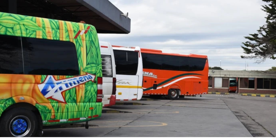 Imagen de referencia.