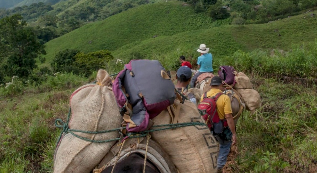 Zorunlu yerinden edilme mağdurları