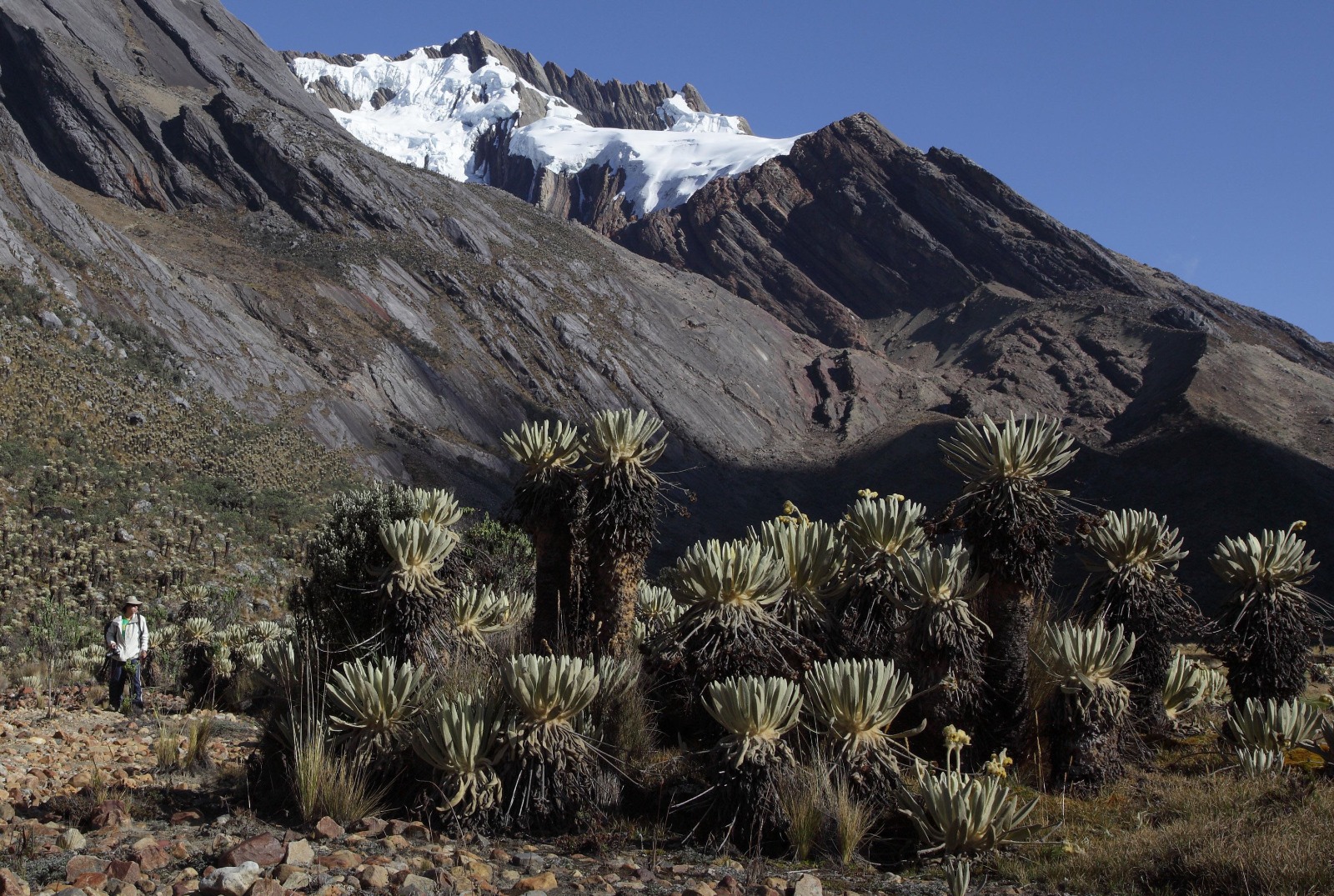 Sierra Nevada del Cocuy.