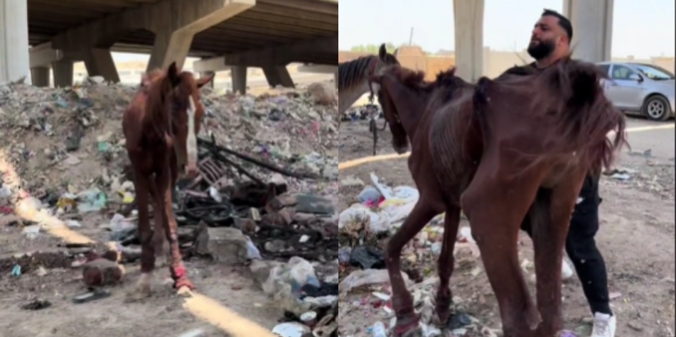 Aún se encuentra en recuperación.