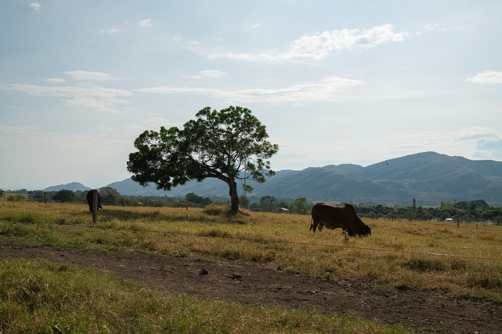 Entrega de tierras de la reforma agraria a víctimas de la hidroeléctrica El Quimbo.