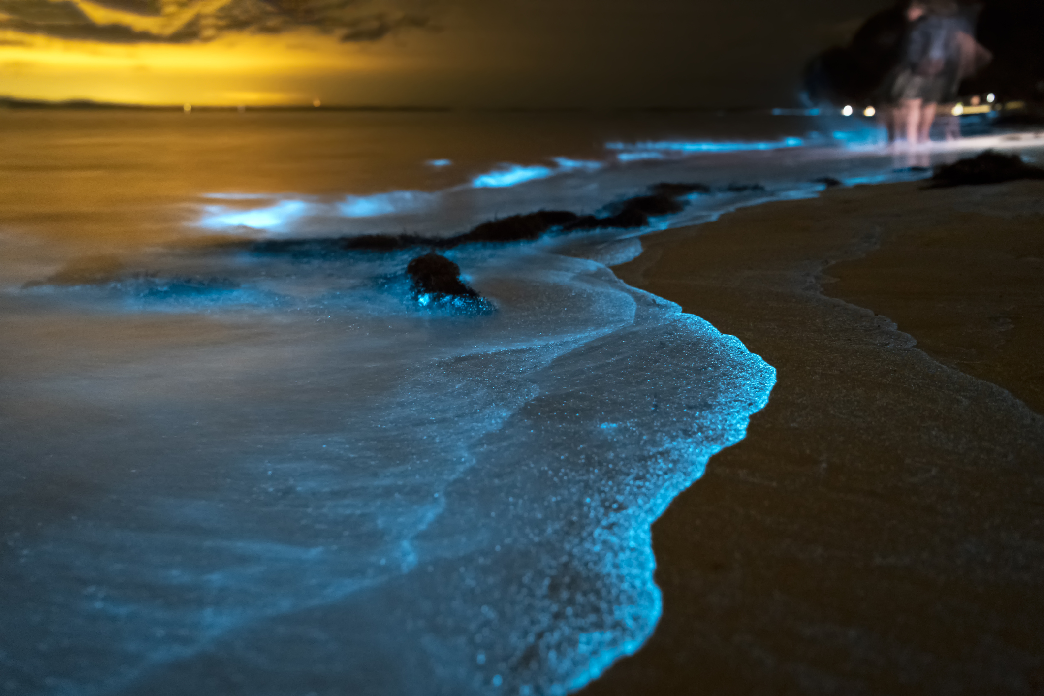 Playa bioluminiscencia
