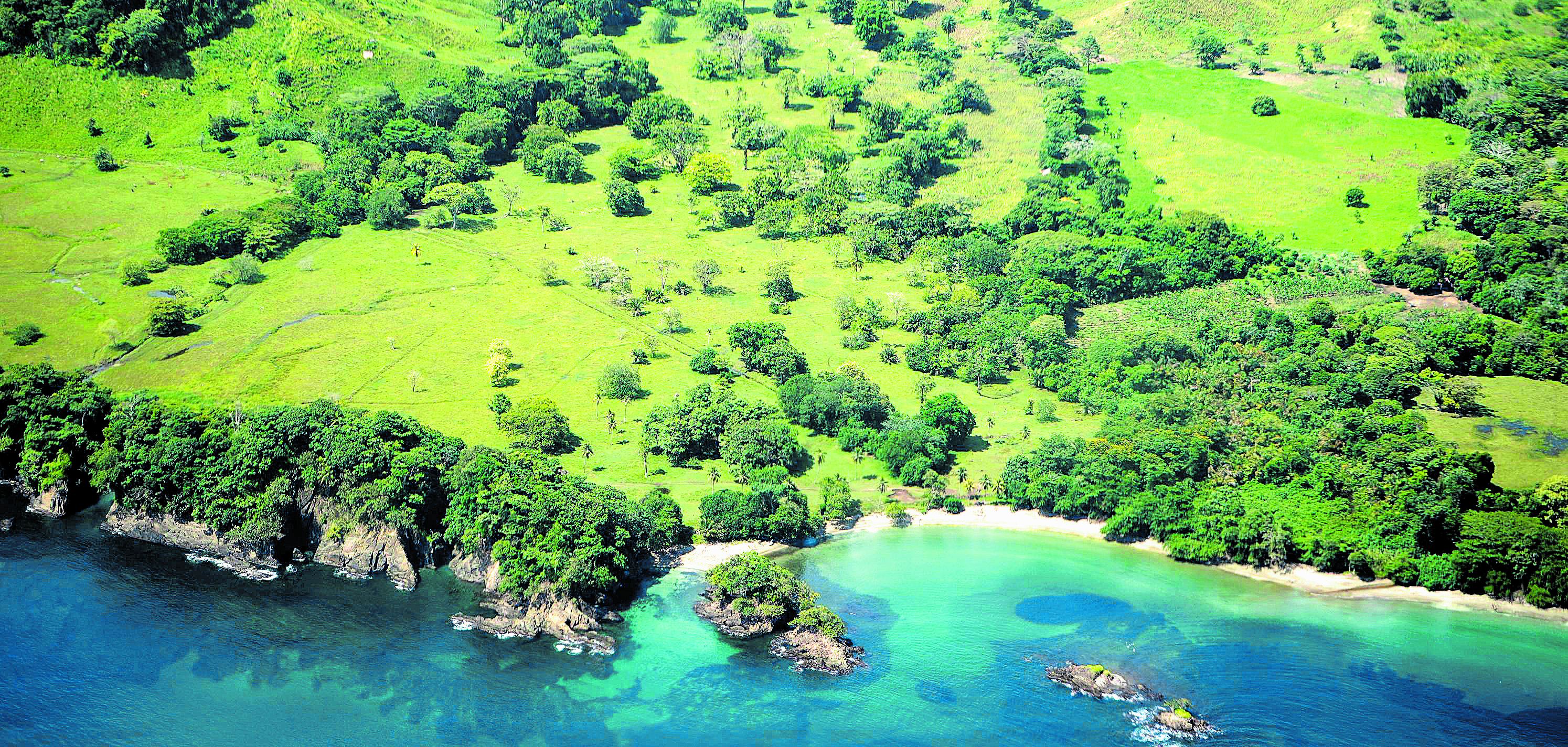 Entre 2014 y 2020, en las playas del norte del Chocó, frente al cristalino mar Caribe y de espaldas a la frondosa selva del Darién, nacieron 68.314 tortugas.