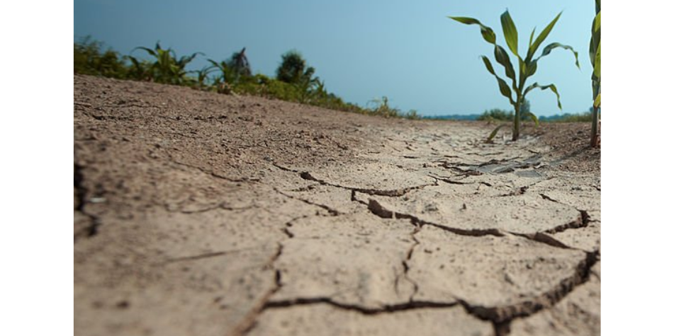 Drought is one of the consequences that the collapse of the AMOC would unleash