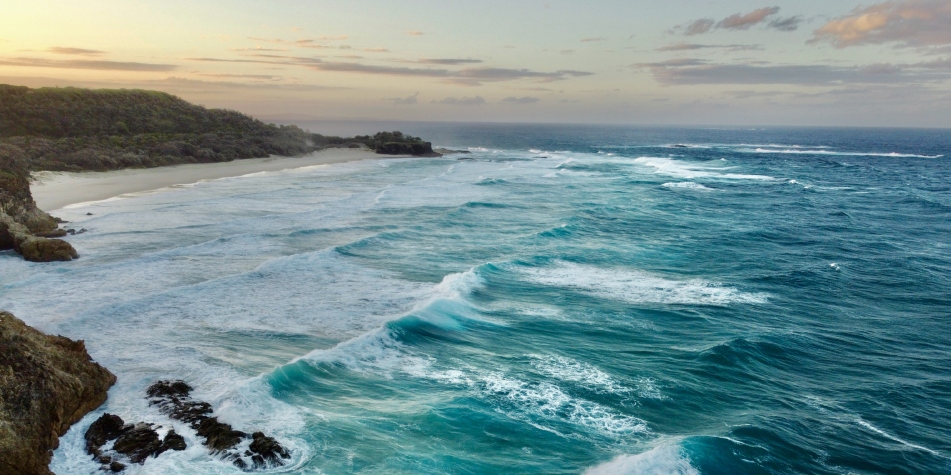 Solo se conoce el 5 por ciento del océano.