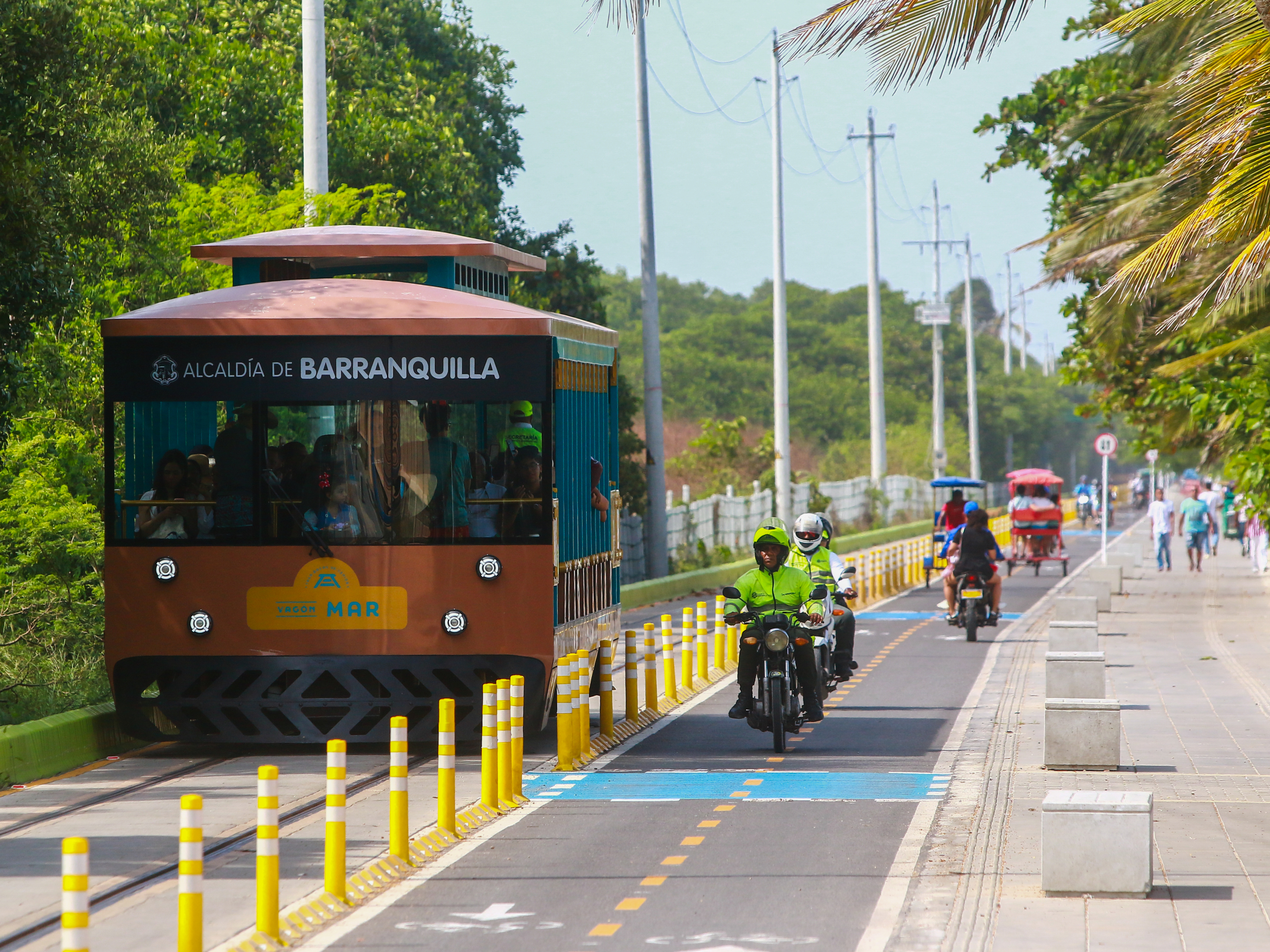 TREN DE LAS FLORES