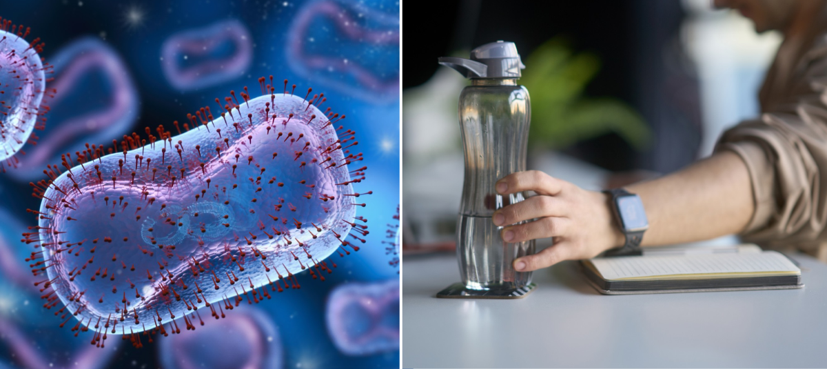 Bacterias en termo