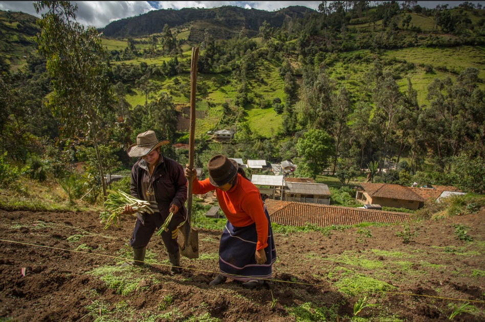 Mujeres campesinas.