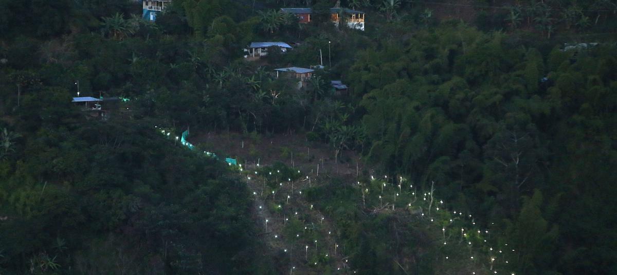 Los 'Pesebres' del Norte del Cauca. Invernaderos en Toribío.