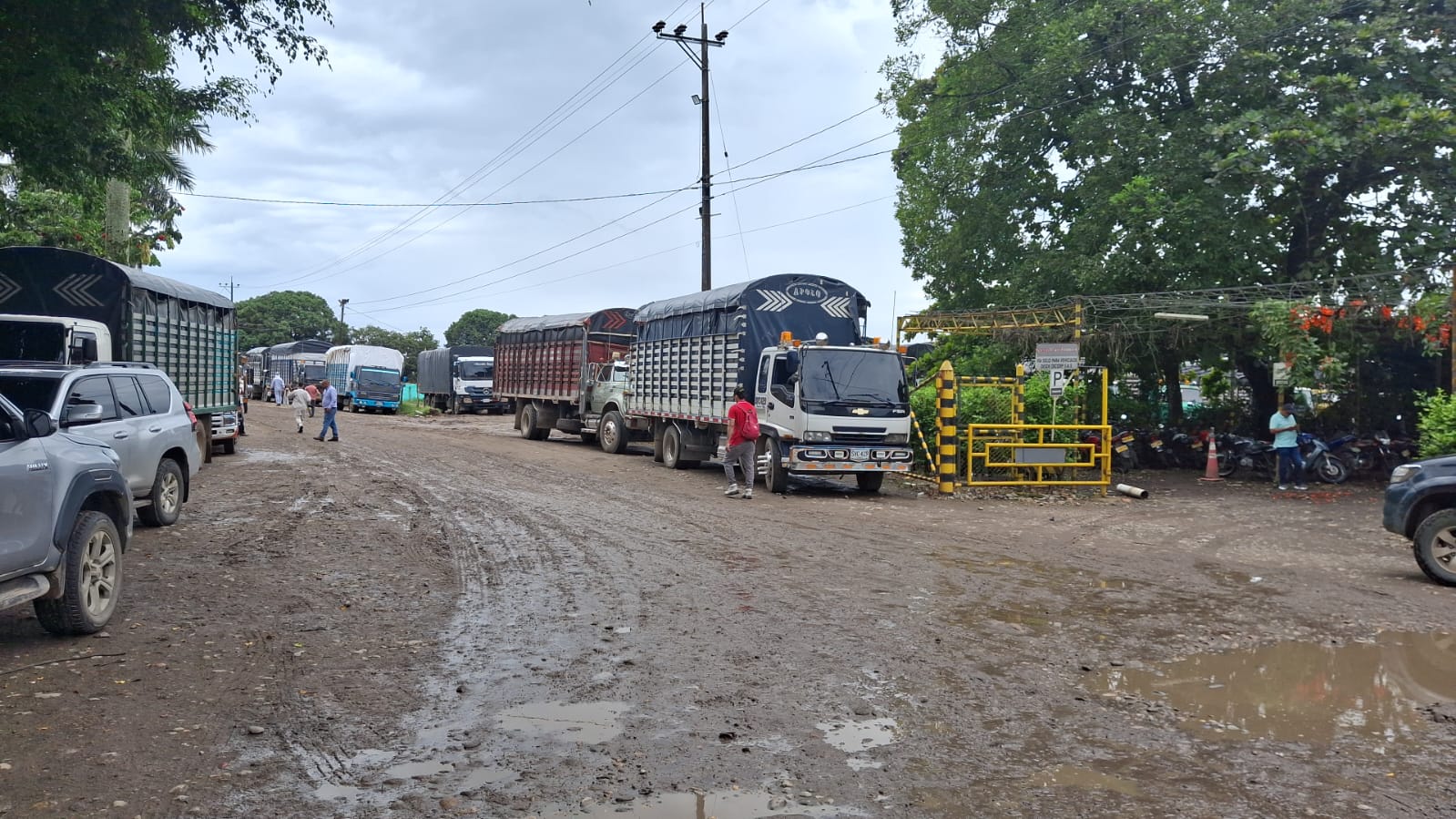 Camiones haciendo fila frente a los molinos en San Martín y Granada.