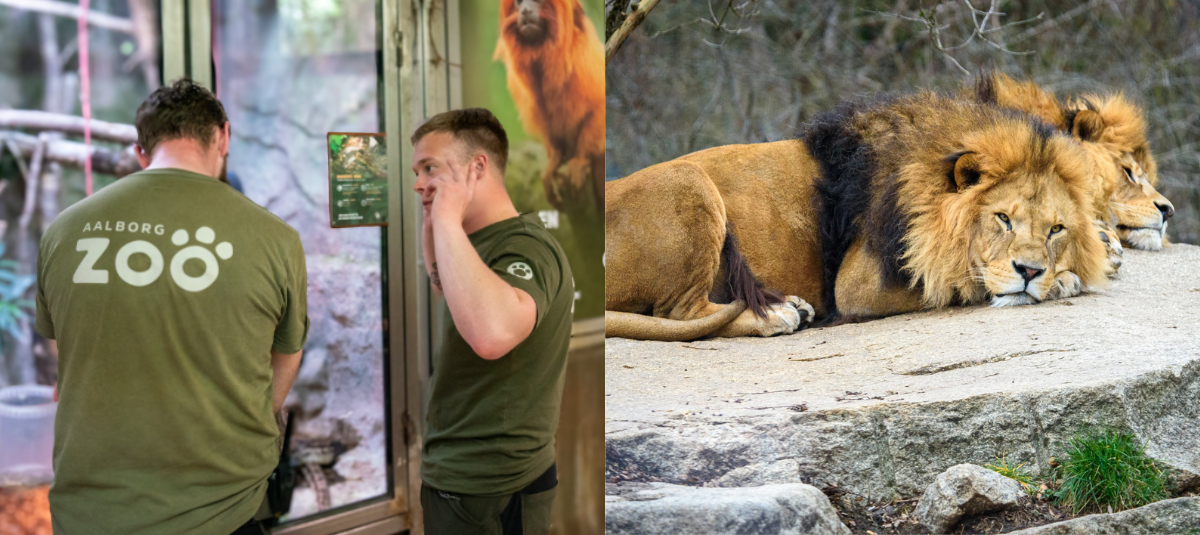 Zoologiczny