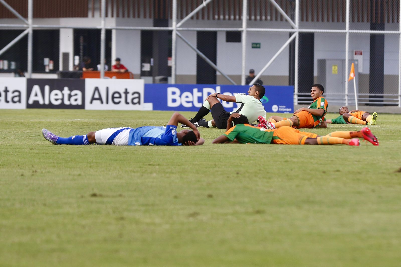 Envigado vs. Millonarios, suspendido por enjambre de avispons
