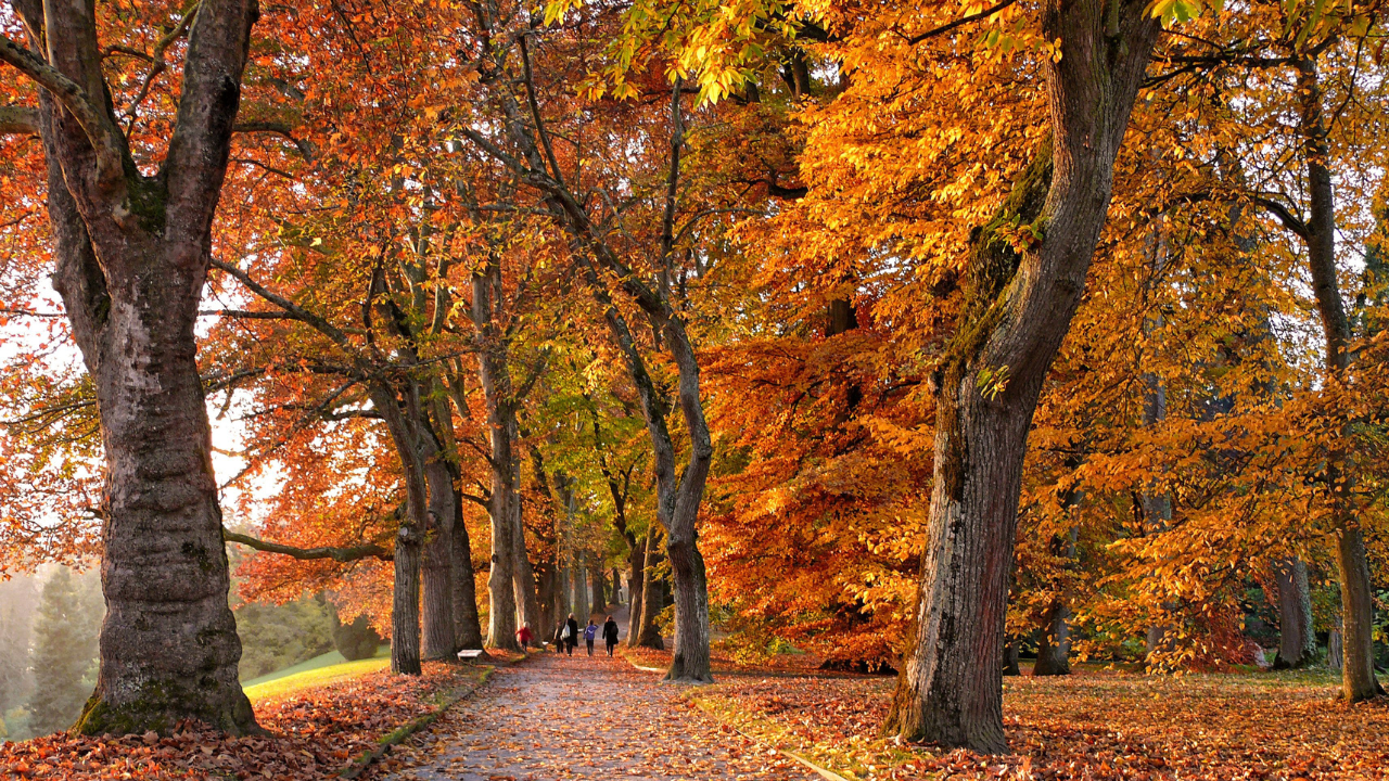 Está Cerca El Equinoccio de Otoño en Estados Unidos.