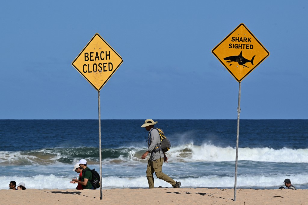 Ataque de tiburón en Sidney, Australia.