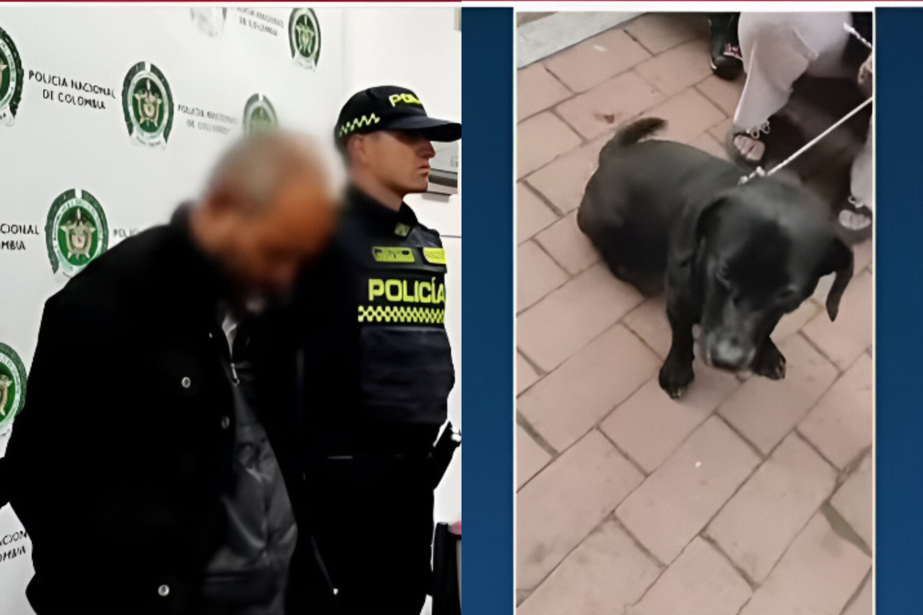 Hombre en Bogotá Se Robaba A Las Mascotas de Sus Vecinos Para Cometer Aberrantes Actos Sexuales