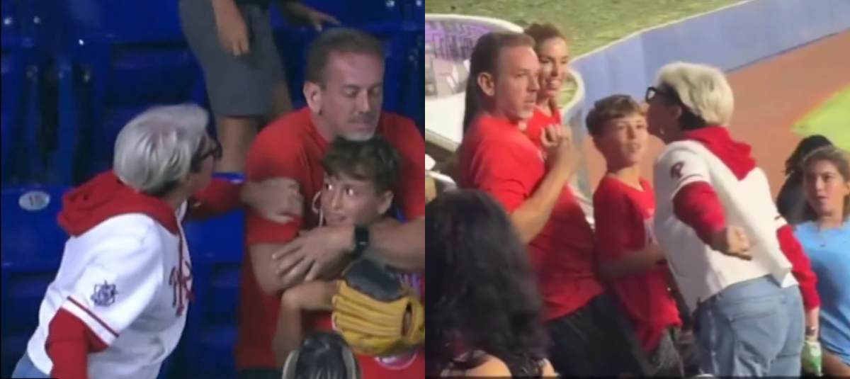 Angry fan criticized for taking home run ball from a child at a baseball game