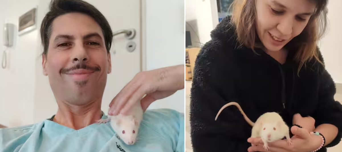Su Gran Amor por Los Animales Llevó a Esta Pareja A Adoptar Tres ratones de Laboratorio, y Revelan Cómo Viven: 'Más conoces y Se van los Estigmas'