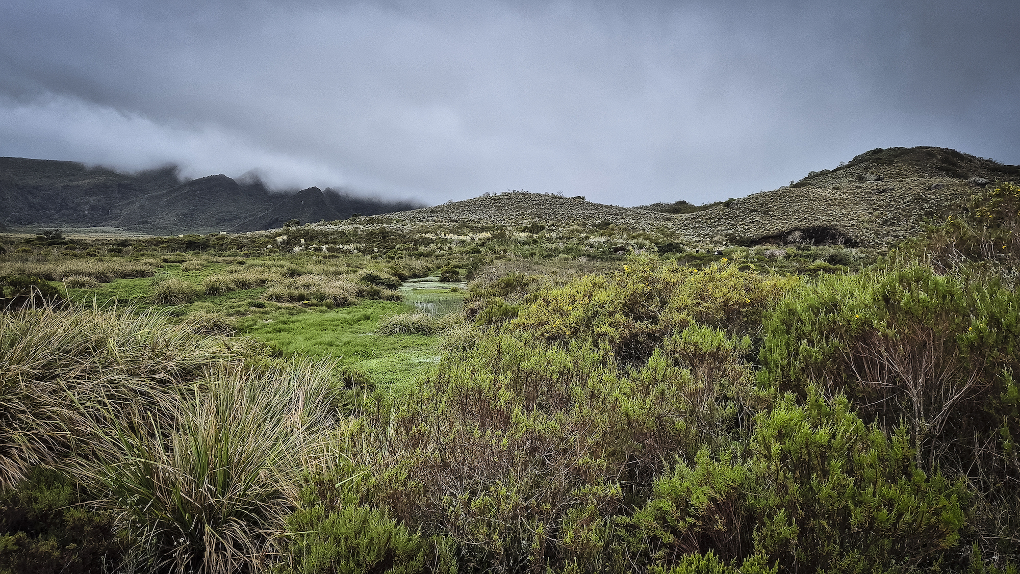 Paramo