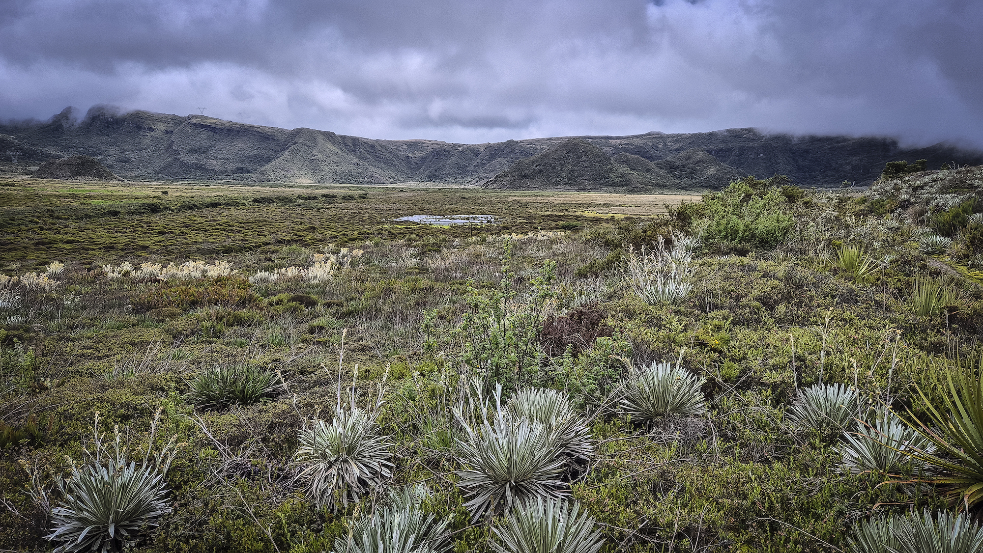 Paramo