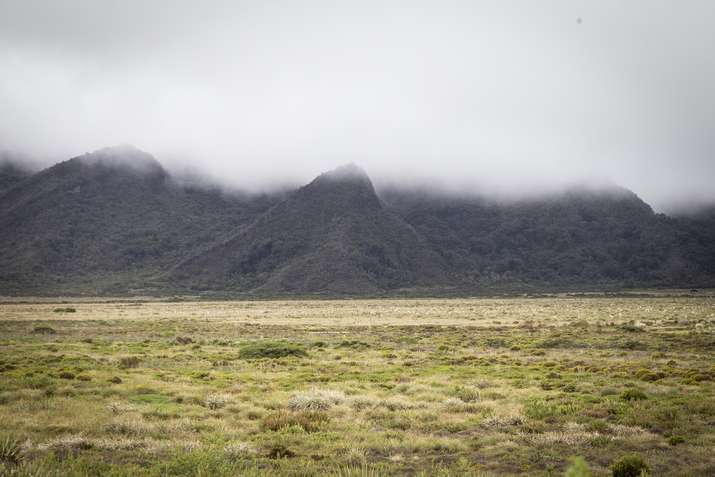 Paramo