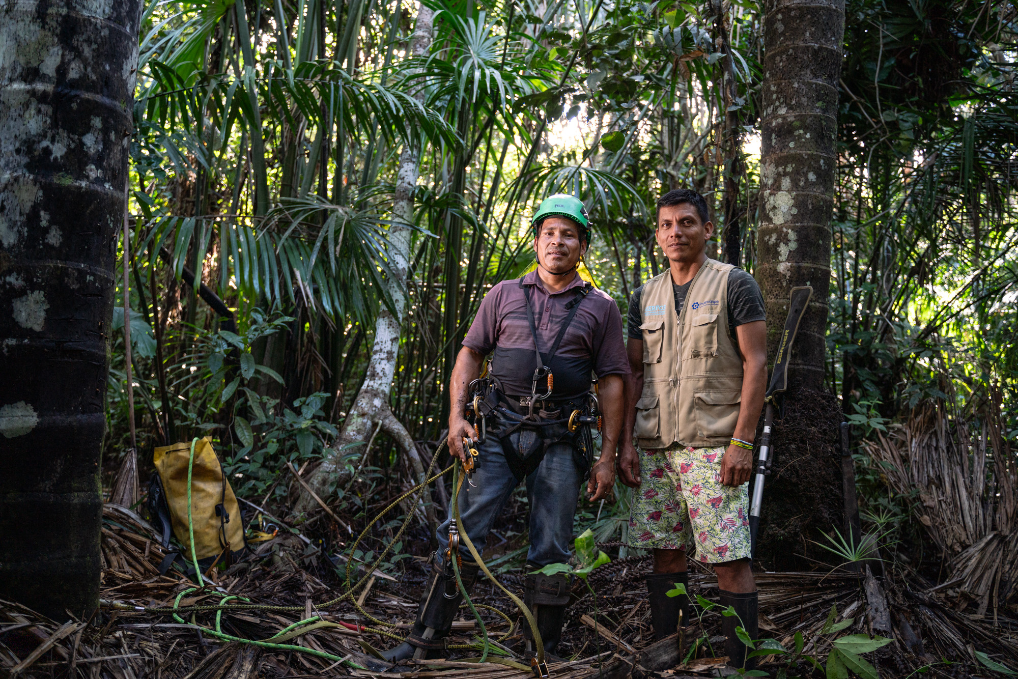 Mongabay peatlands