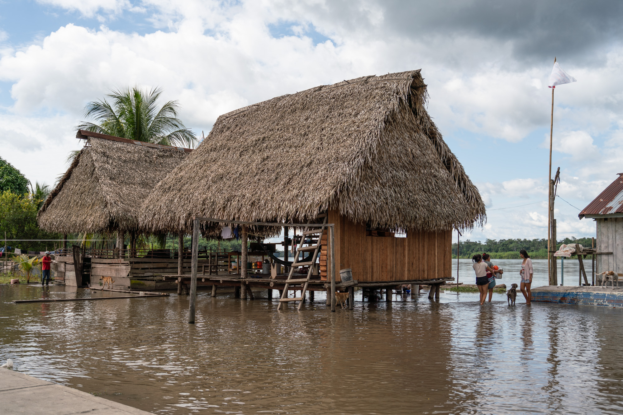 Mongabay peatlands