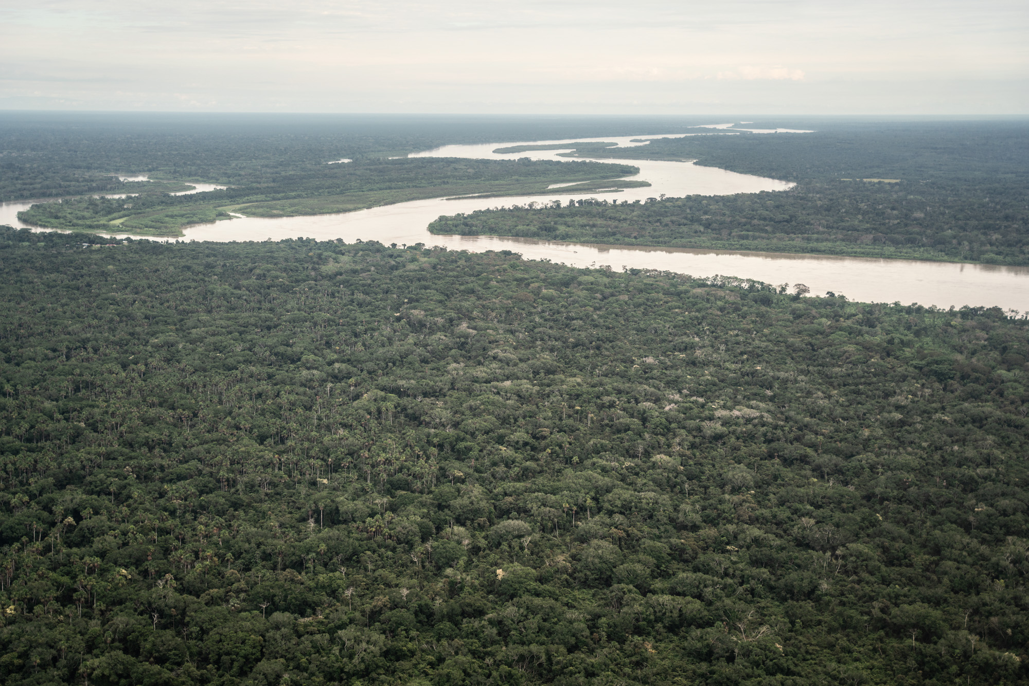 Mongabay peatlands