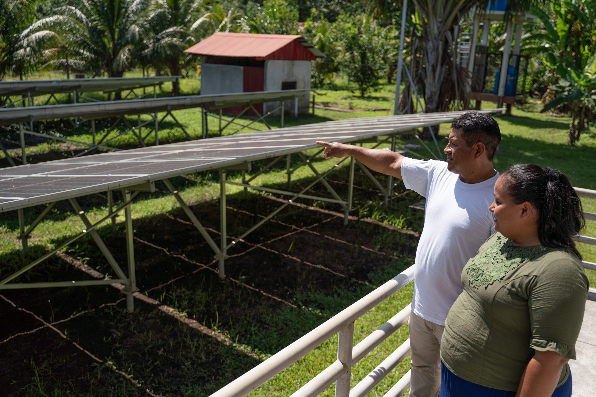 Mongabay peatlands