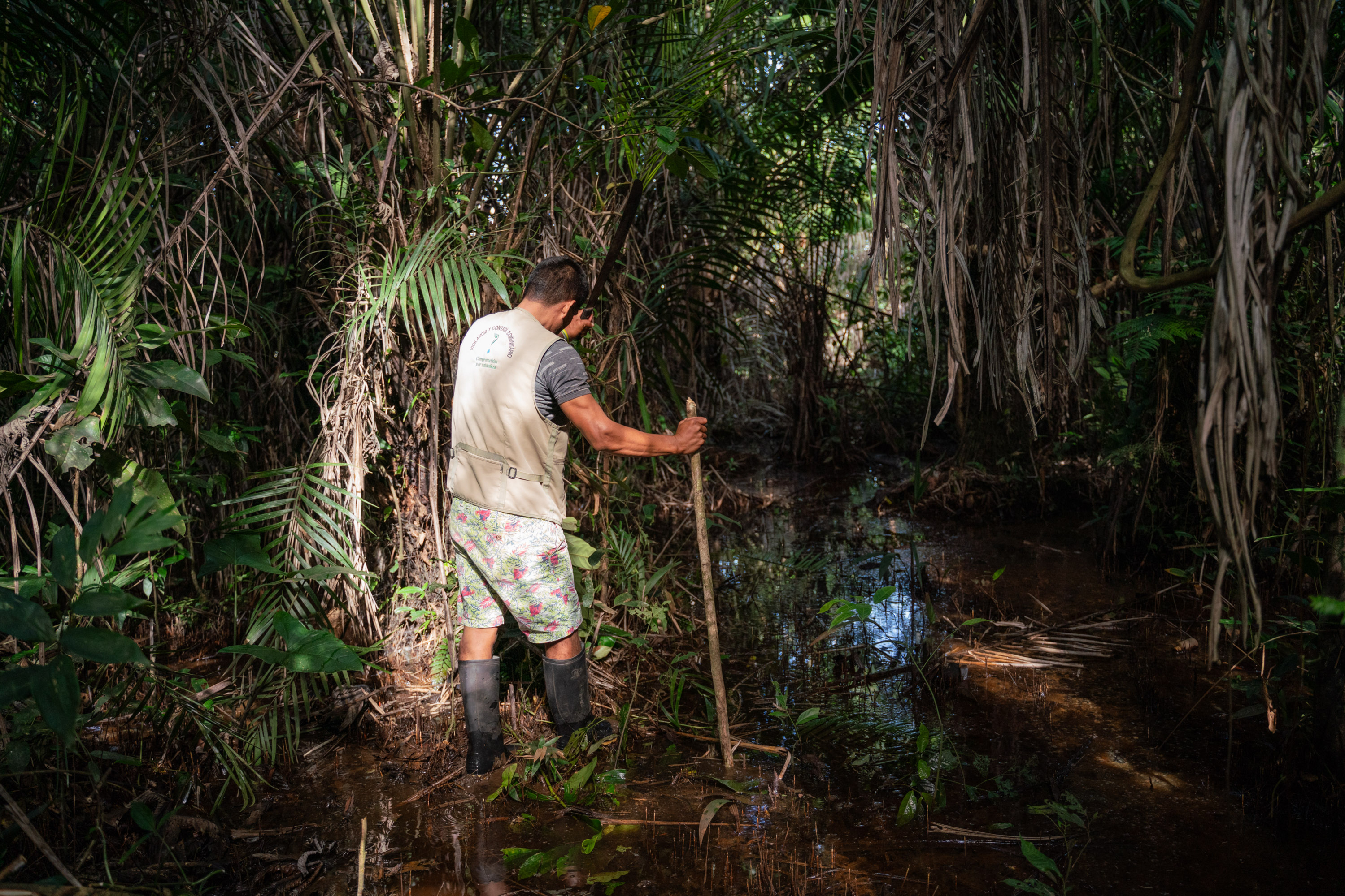 Mongabay peatlands