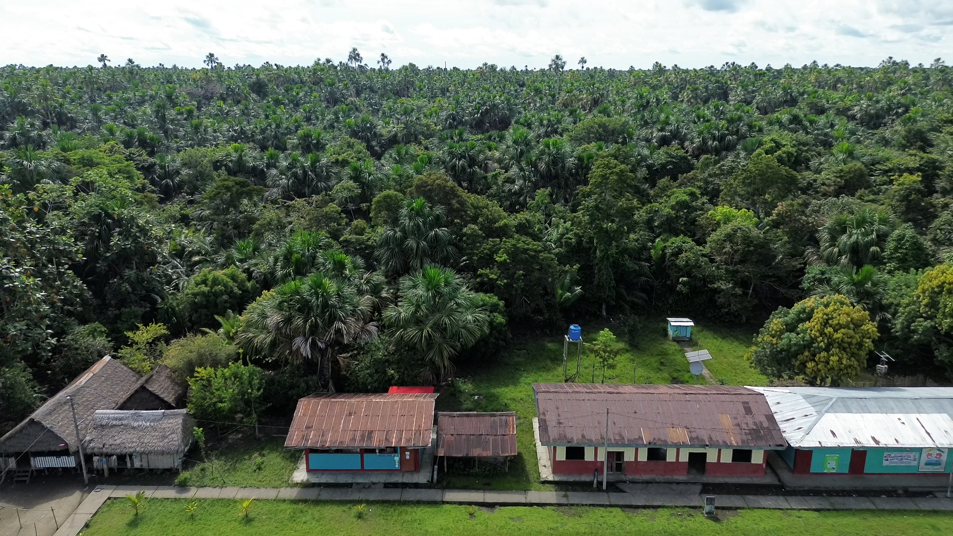 Mongabay peatlands