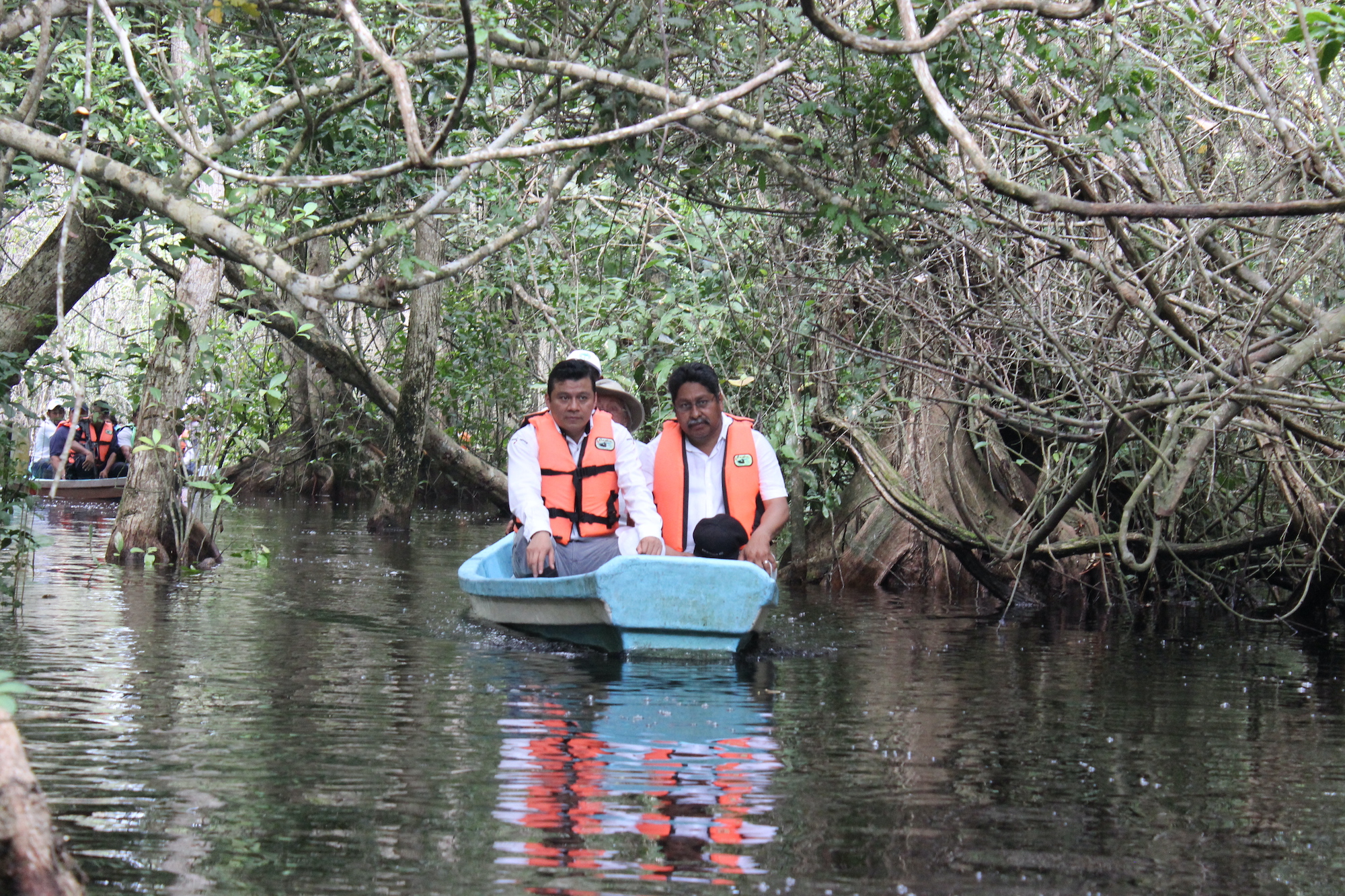 Mongabay Wetlands