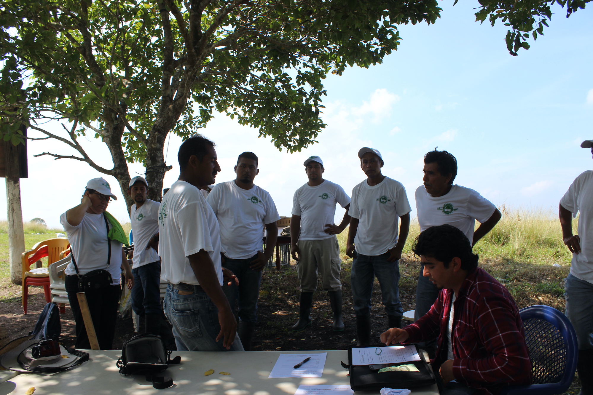 Mongabay Wetlands